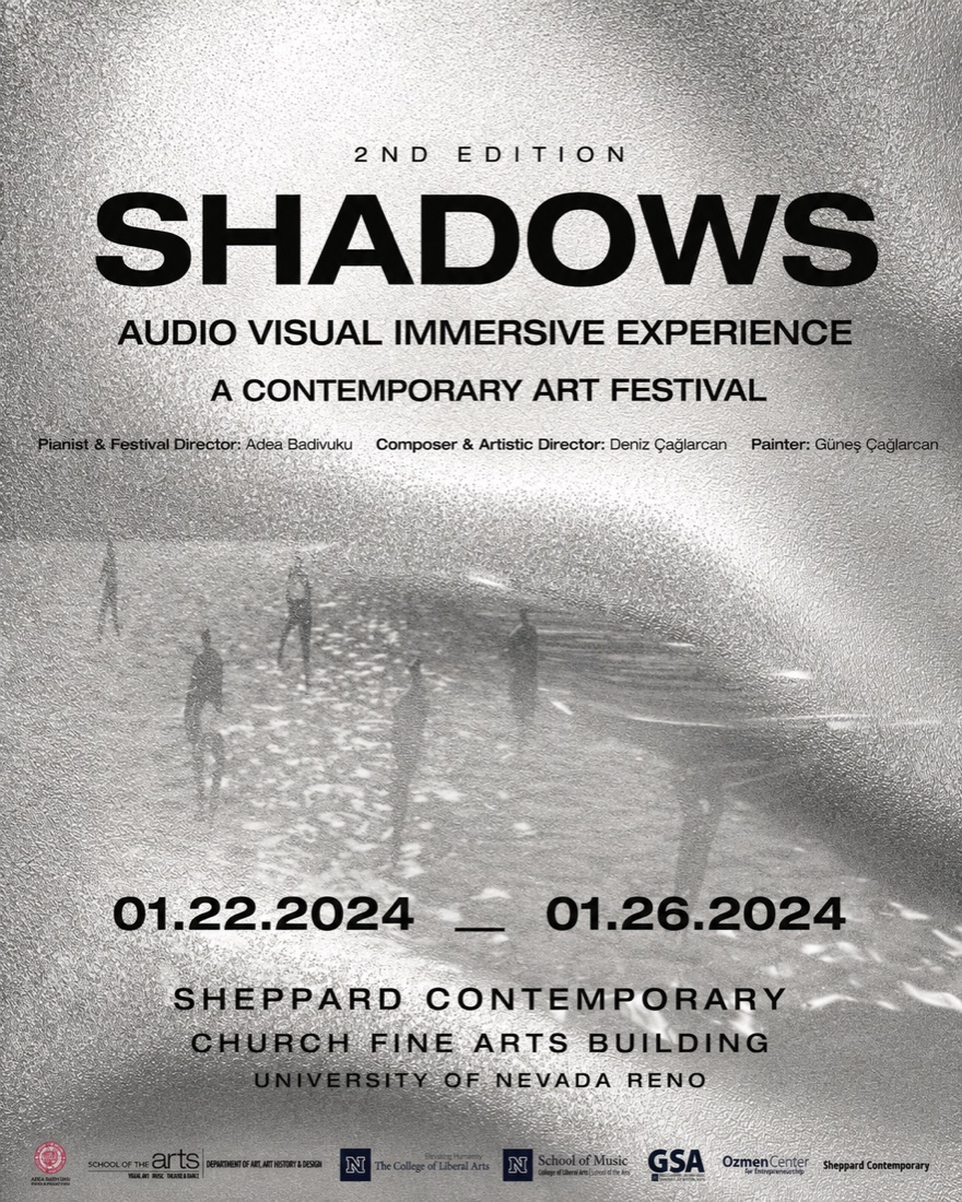 Shadows Contemporary Art Festival, 2nd Edition